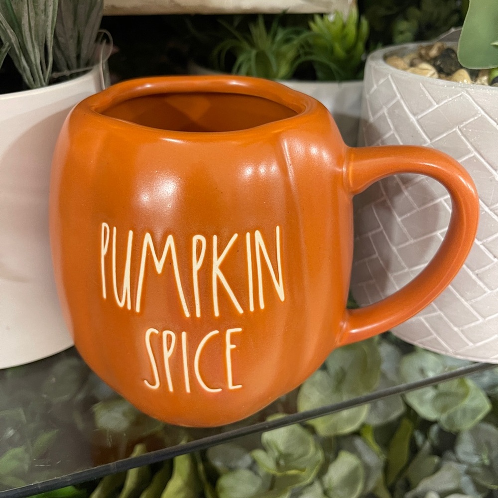 Rae Dunn Fall Pumpkin Spice Pumpkin Shaped Ceramic Coffee Mug NWT